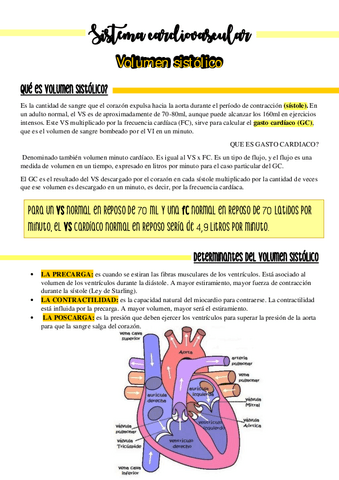 volumen-sistolico.pdf