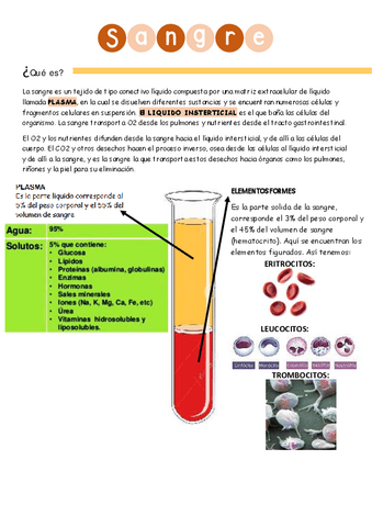 Sangre--componentes-funciones-eritropoyesis-etc.pdf