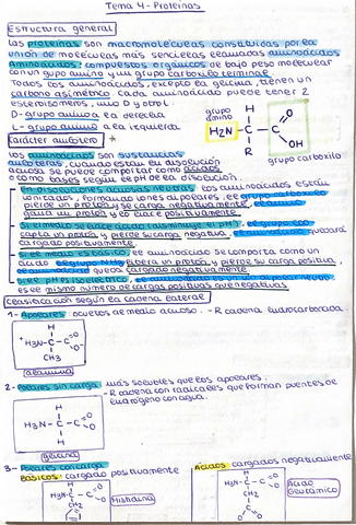 biologia-tema-4.-proteinas.pdf