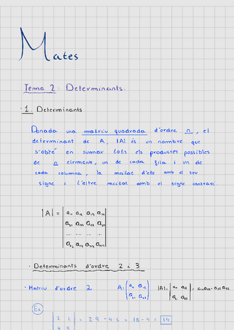Determinantes.pdf
