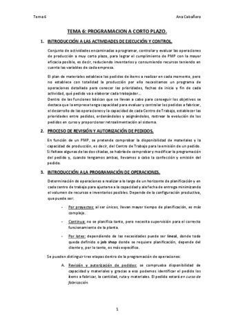 TEMA-6.pdf