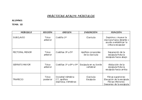 tema-10-FICHAS-DE-PRACTICAS-MUSCULOS-CINTURA-ESCAPULAR.pdf