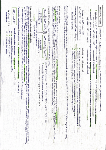 REDOX.pdf