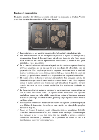 Teoria-practica-1.pdf