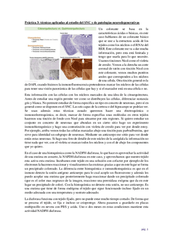 Teoria-practica-3.pdf
