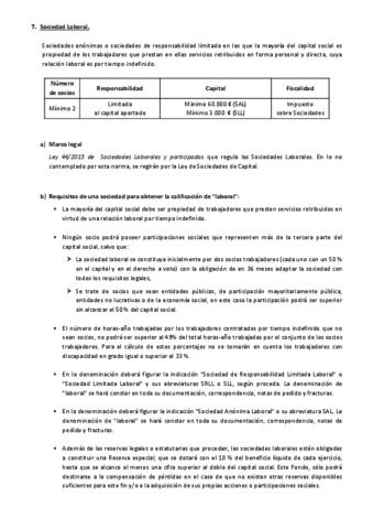 Sociedad-Laboral.pdf