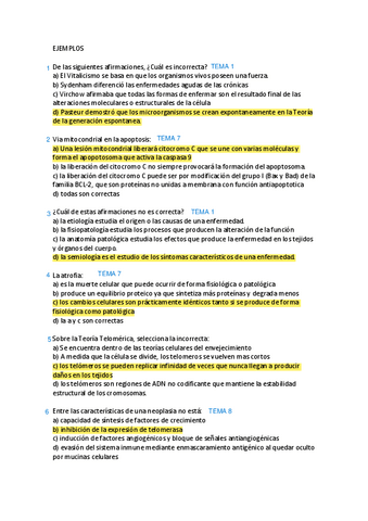 Preguntas-Resueltas-Parciales.pdf