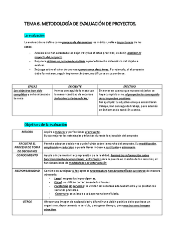 TEMA-6.pdf