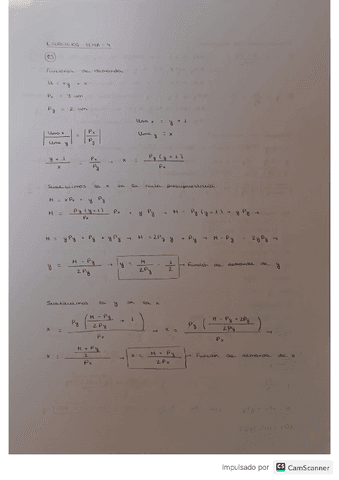 microeconomia-ejercicios-temas-4.pdf