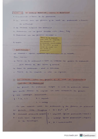 microeconomia-tema5.pdf