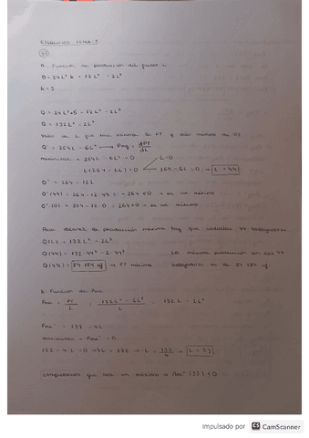 microeconomia-tema6.pdf