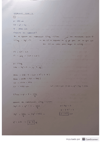 microeconomia-ejercicios-tema6.pdf