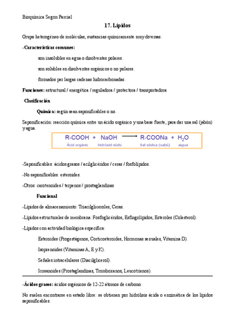 T.17-Bioquimica-lipidos.pdf