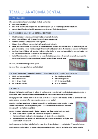 1º cuatrimestre Fácil.pdf