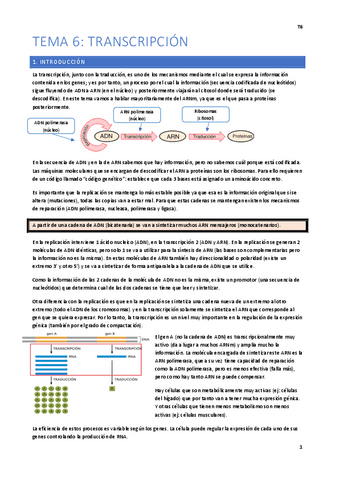 Temas-6-16 Fácil.pdf