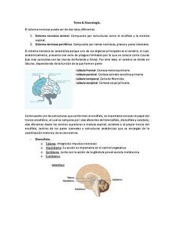 Tema-6.-Neurologia-PMQ2.pdf
