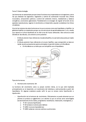 Tema-7.-Endocrinologia.pdf