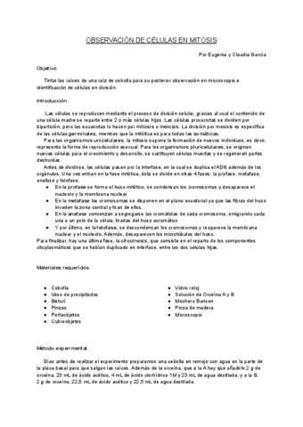 Informe-Practica-11-Biologia-Observacion-de-celulas-en-mitosis.pdf