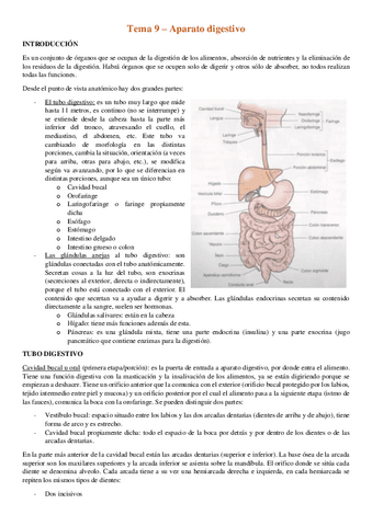 Tema-9-Aparato-digestivo.pdf