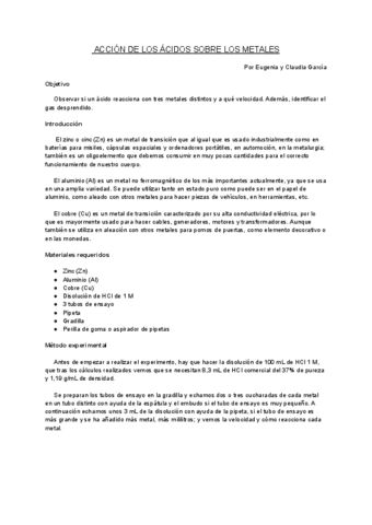 Informe-Practica-3-Quimica-Accion-de-Acidos-sobre-Metales.pdf