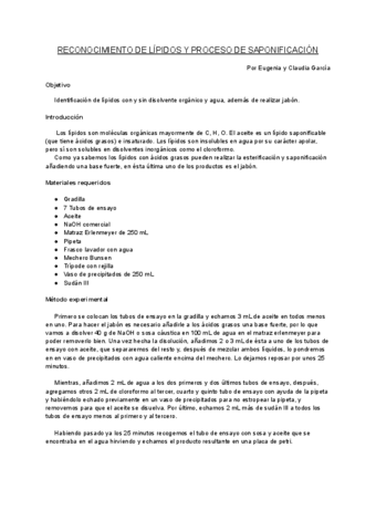 Informe-Practica-4-Biologia-Reconocimiento-Lipidos.-Saponificacion.pdf