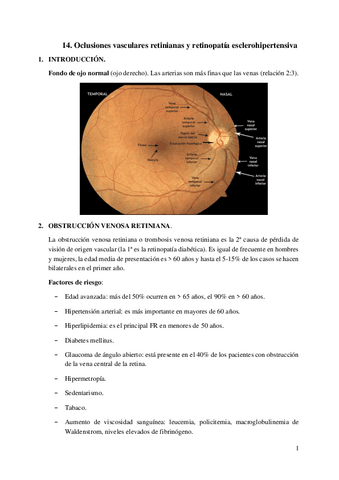 14.-Oclusiones-vasculares-retinianas-y-retinopatia-esclerohipertensiva.pdf