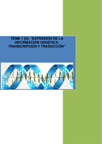 Traduccion-y-transcripcion..pdf