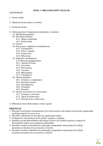 Organizacion-Celular..pdf