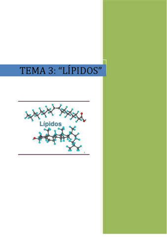 Los-lipidos..pdf