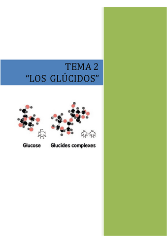 Los-glucidos..pdf