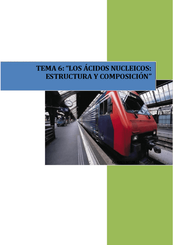 Los-ac.-nucleicos..pdf
