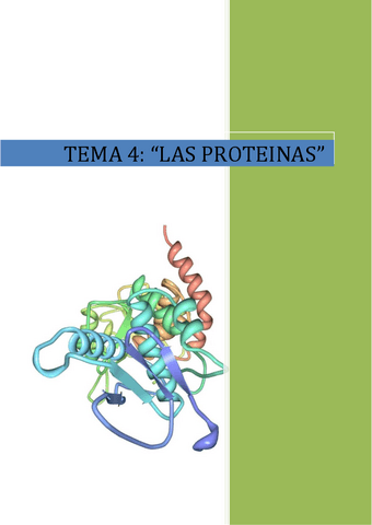 Las-proteinas..pdf