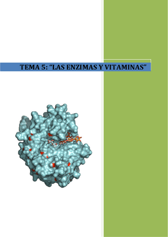 Las-enzimas-y-vitaminas.pdf
