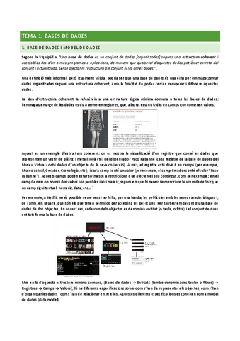 BasesDeDades-TEMA_1.pdf