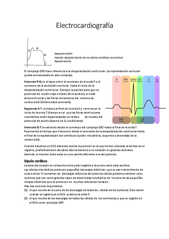 Practica-4.-Electrocardiografia.pdf