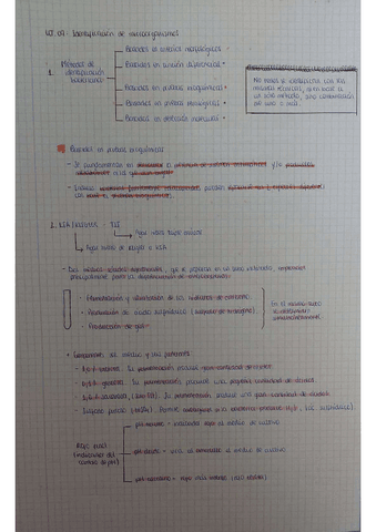 UT.09-Identificacion-bacteriana-KIA-KIGLER-TSI.pdf