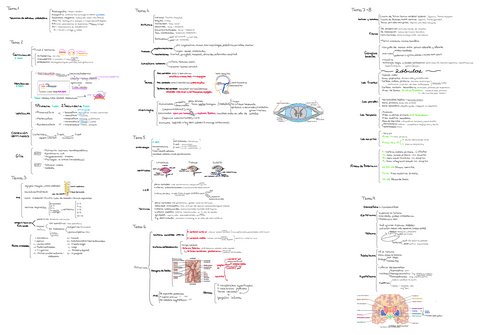 Resumen-anato-T1-9.pdf