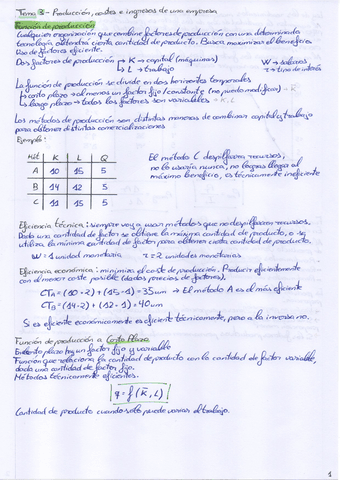 Tema-3-Apuntes-y-Ejercicios-Clase-Teco.pdf