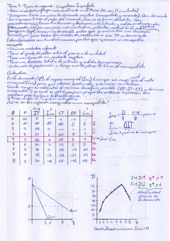 Tema-5-Apuntes-y-Ejercicios-Clase-Teco.pdf