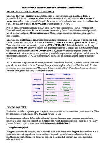 PREGUNTAS-DESARROLLO..pdf