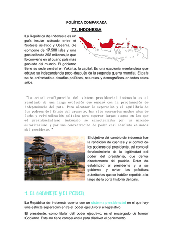 T8.-INDONESIA.pdf