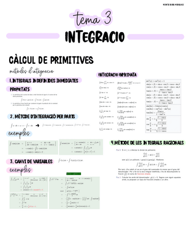 tema-3-integracio.pdf