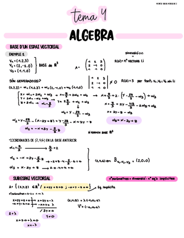 tema-4-algebra.pdf