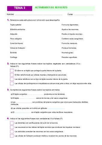 Actividades-Tema-3.pdf