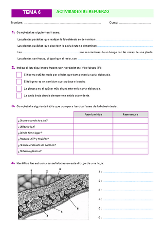 Actividades-Tema-6.pdf