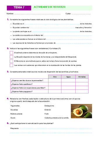 Actividades-Tema-7.pdf