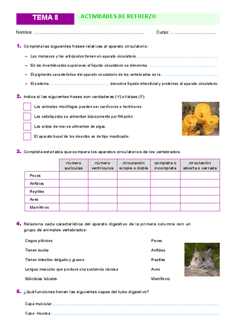 Actividades-Tema-8.pdf