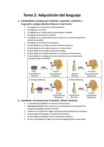 Tema-2-Adquisicion-del-lenguaje.pdf