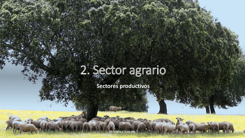 TEMA-3.2-Sectores-productivos-Sector-Agricola.pdf