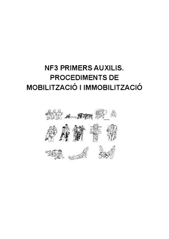 NF3-PRIMERS-AUXILIS.pdf